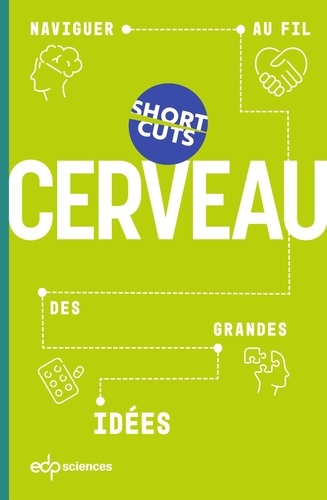 Cerveau. Short cuts