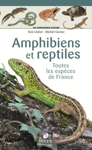 Amphibiens et reptiles - toutes les espèces de France