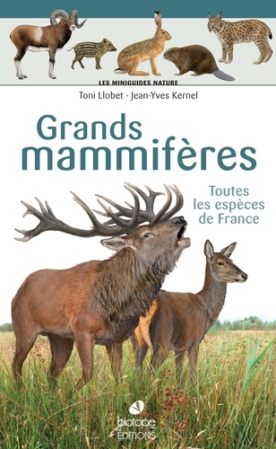 Grands mammifères