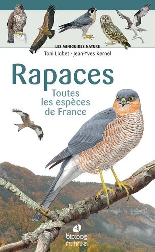 Rapaces - toutes les espèces de France