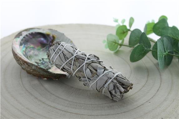 Sauge blanche green tree. Baton purificateur petit modèle