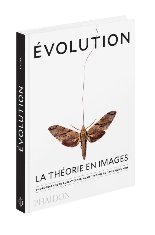 Evolution - La théorie en images