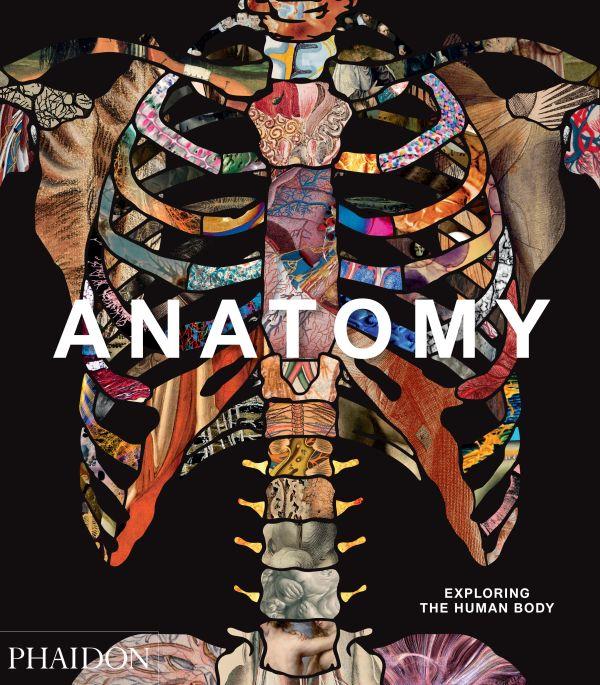 ANATOMY - EXPLORING THE HUMAN BODY