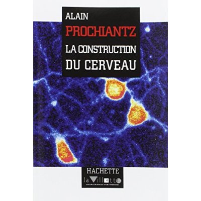La construction du cerveau