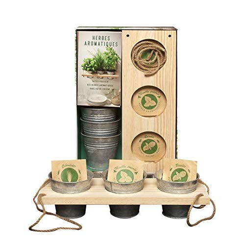 Coffret herbes aromatiques. Faites pousser des herbes aromatiques dans votre cuisine