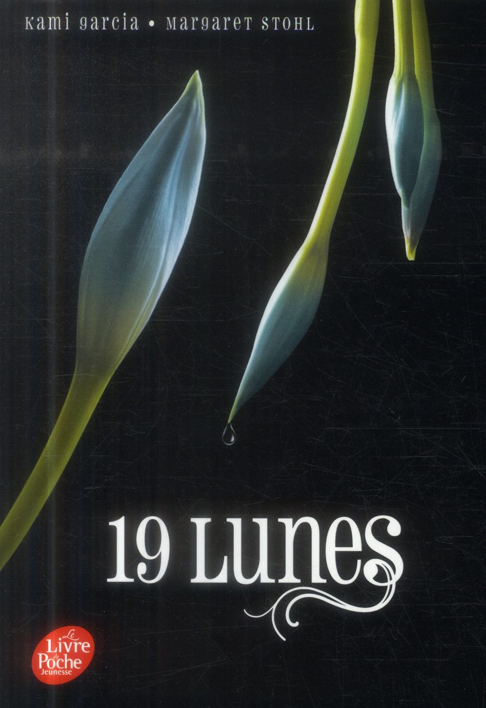 19 lunes