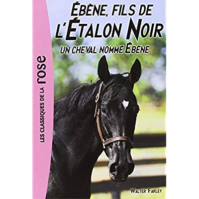 L'Etalon Noir Tome 22 : Un cheval nommé Ebène
