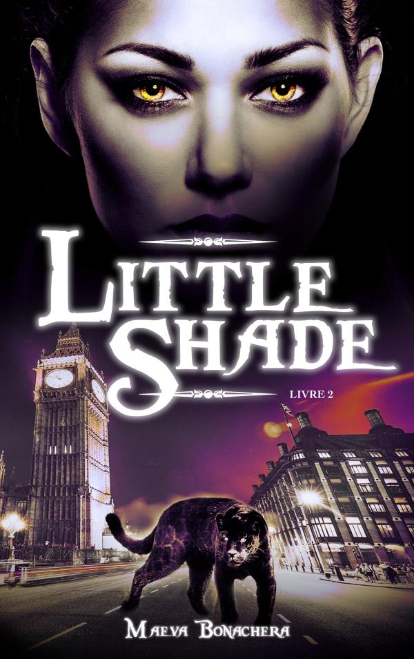 Little Shade Tome 2 : A pas de loup