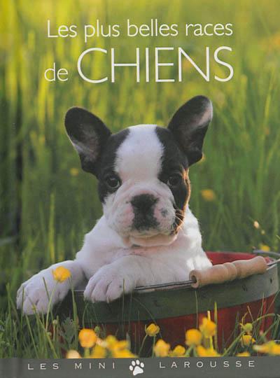Les plus belles races de chiens