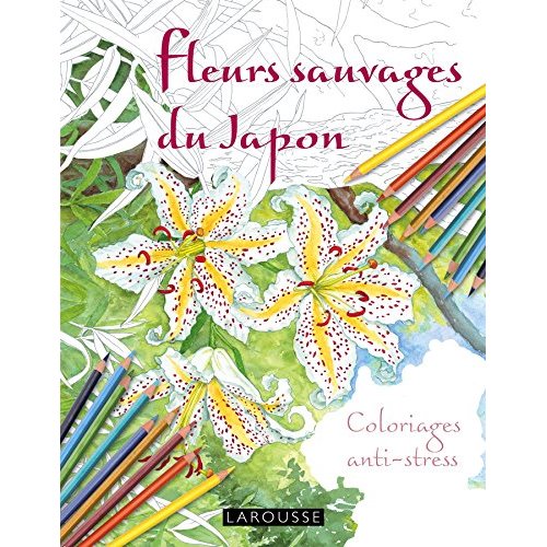 Fleurs sauvages du Japon. Coloriages anti-stress