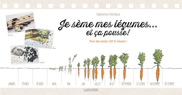 Je sème mes légumes...et ça pousse ! Pour des semis 100 % réussis !