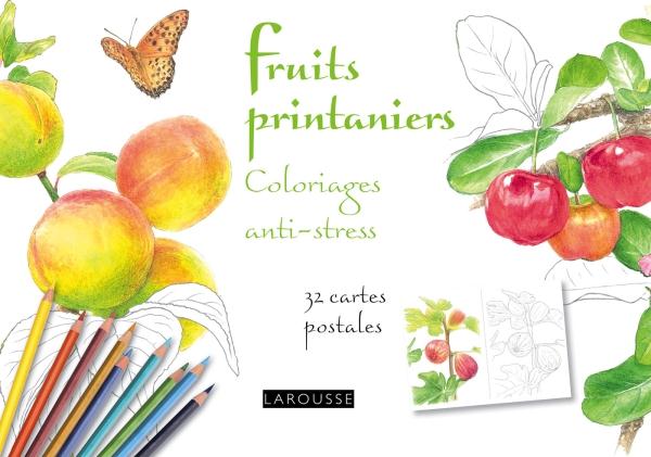 Fruits de saison. Coloriages anti-stress