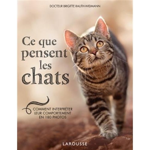 Ce que pensent les chats. Comment interpréter leur comportement en 180 photos