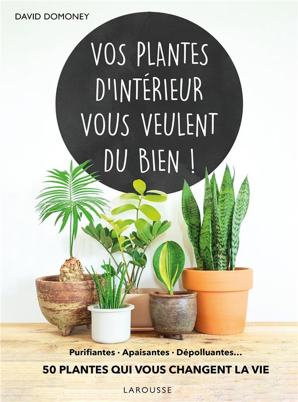 Vos plantes d'intérieur vous veulent du bien ! Purifiantes - apaisantes - dépolluantes... 50 plantes
