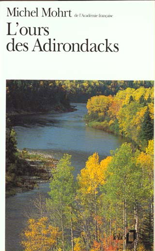L'ours des Adirondacks