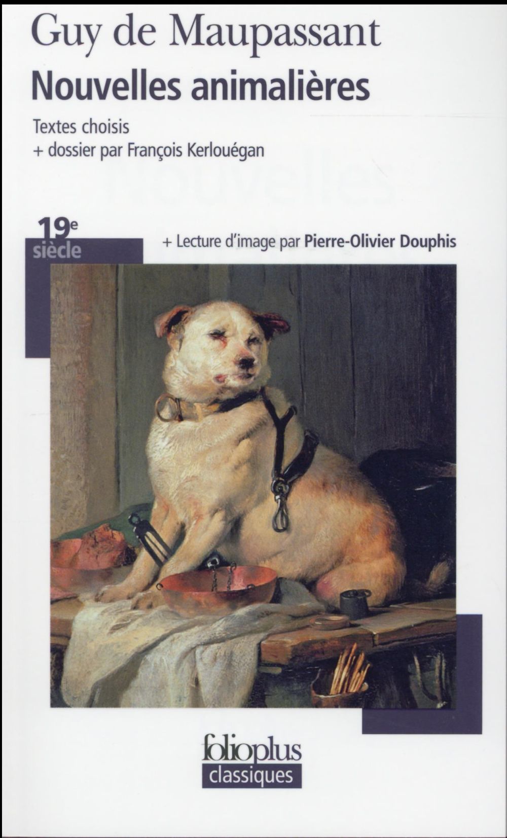 Nouvelles animalières