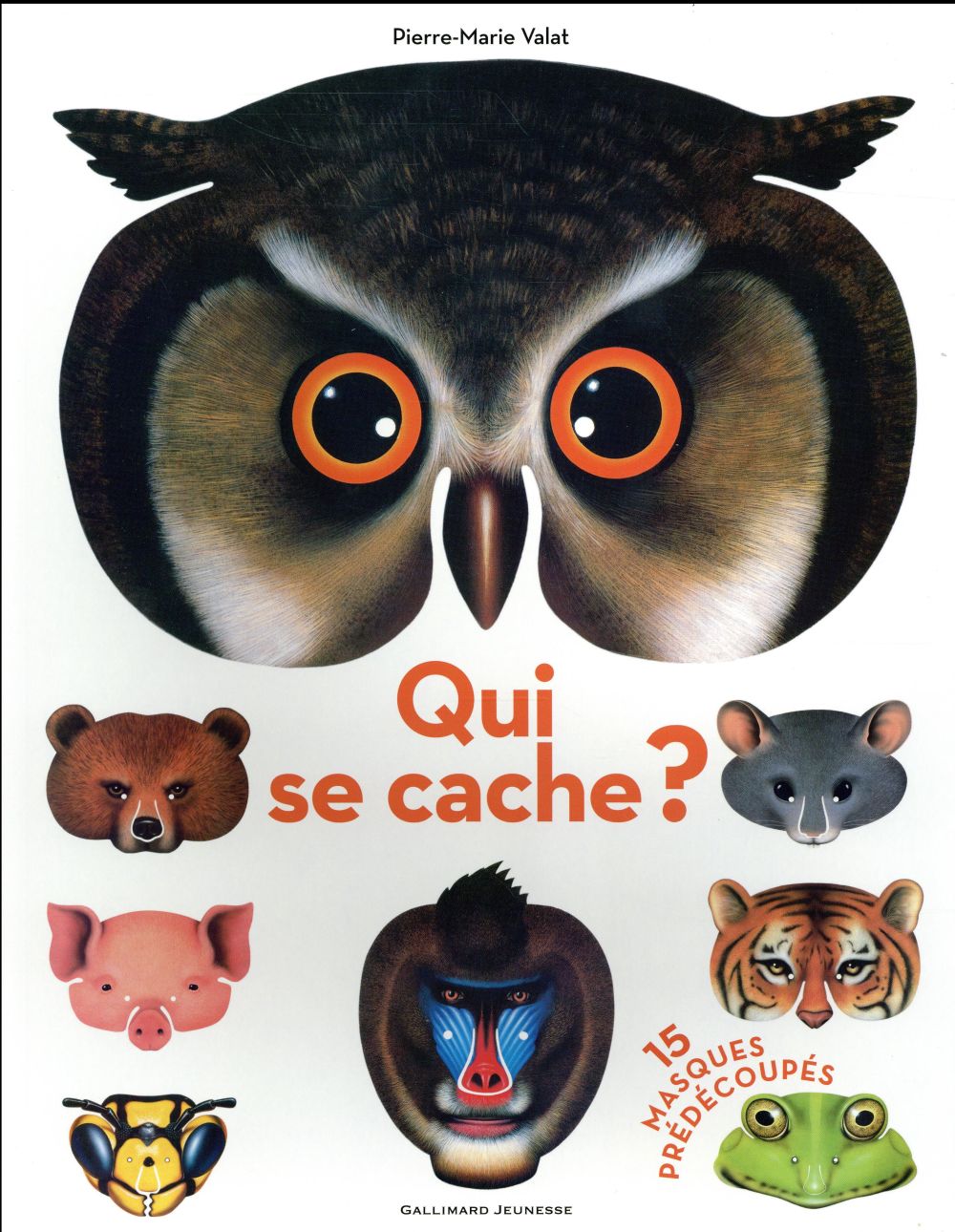Qui se cache ?