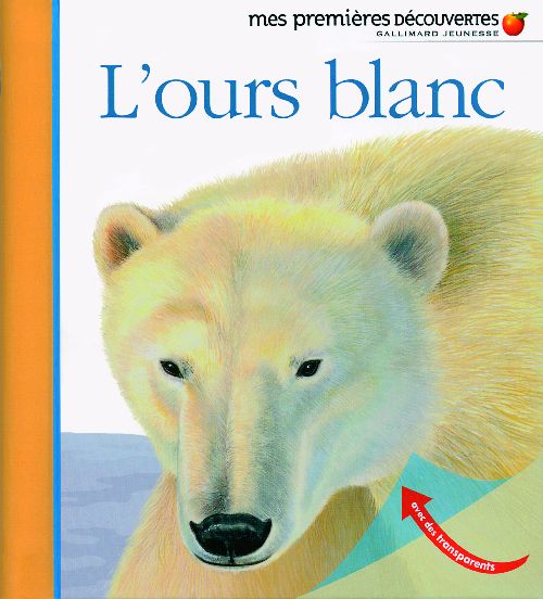 L'ours blanc