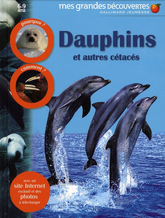 Dauphins et autres cétacés
