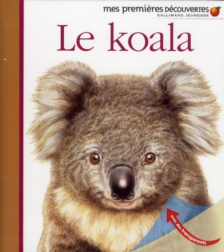 Le koala