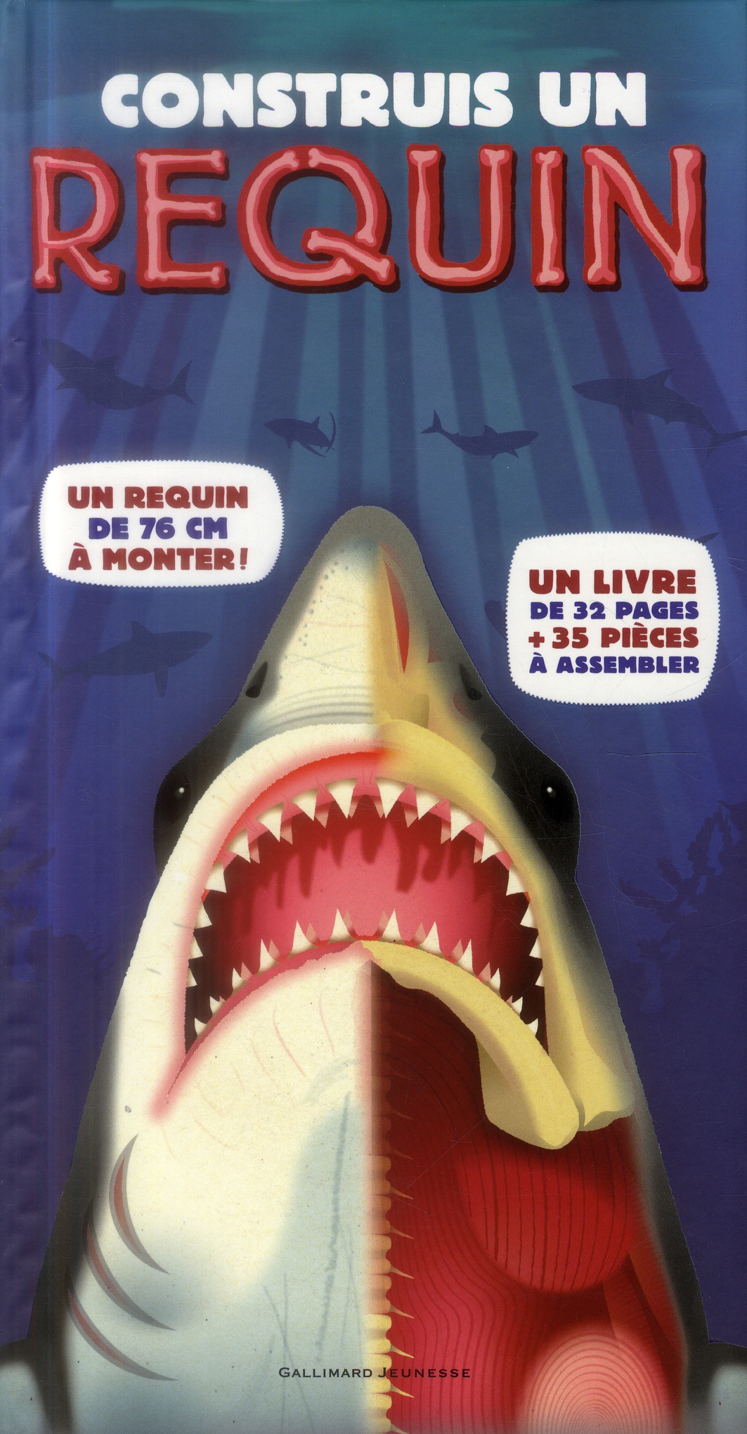 CONSTRUIS UN REQUIN