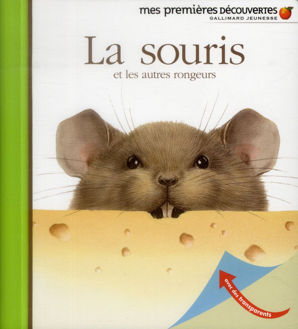 LA SOURIS ET LES AUTRES RONGEURS