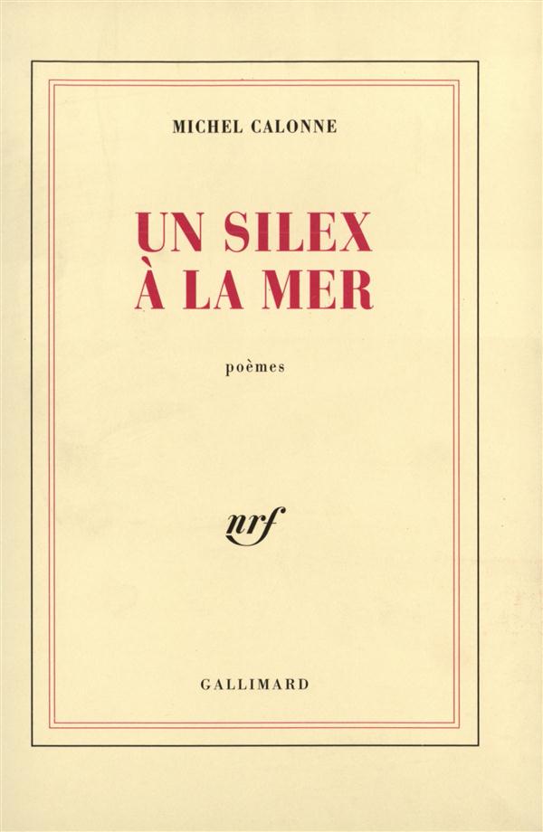 Un silex à la mer