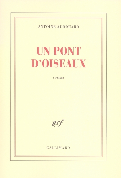 Un pont d'oiseaux