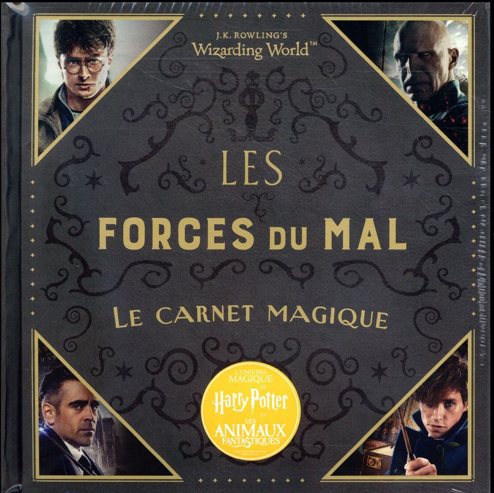 Harry Potter Les forces du Mal. Le carnet magique