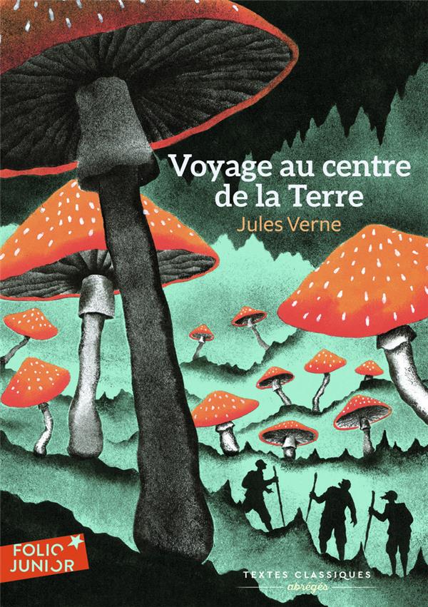Voyage au centre de la Terre. Texte abrégé