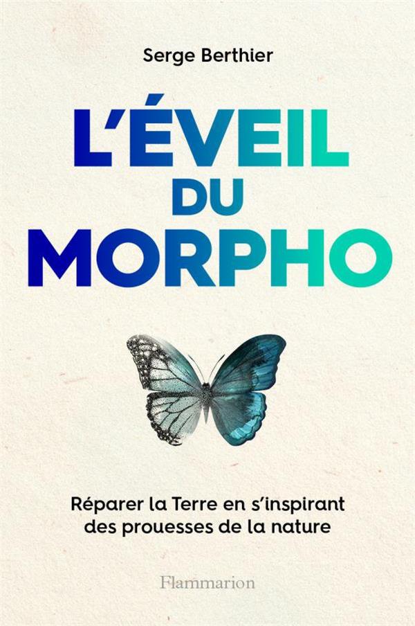 L'éveil du Morpho