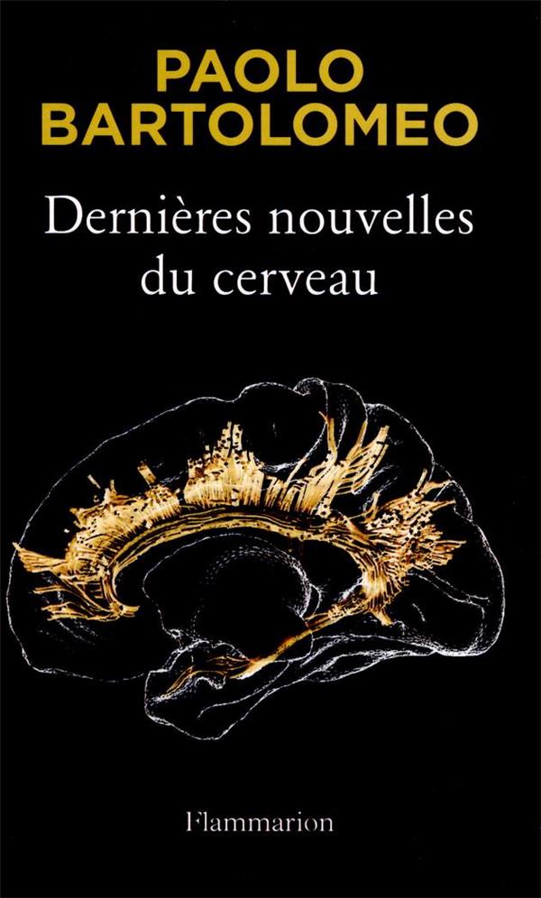 Dernières nouvelles du cerveau