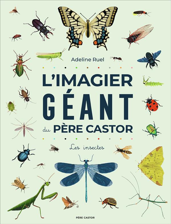 L'imagier géant du Père Castor. Les insectes