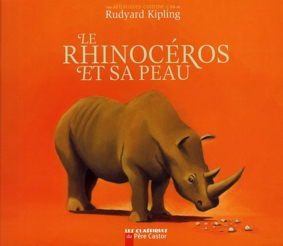 Le rhinocéros et sa peau