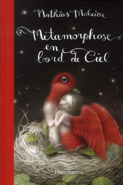 Métamorphose en bord de Ciel. Edition de luxe