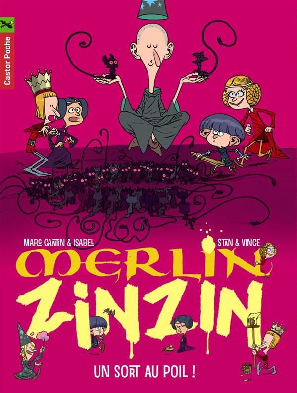 Merlin Zinzin Tome 7 : Un sort au poil !