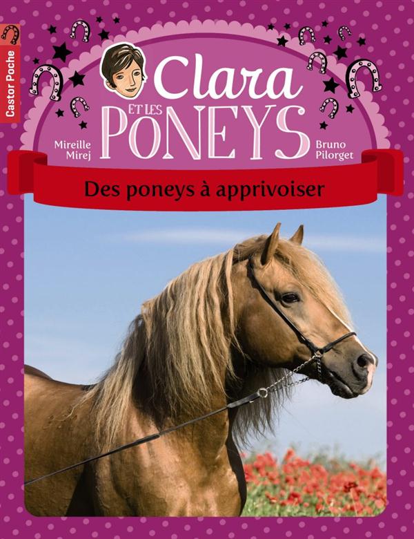 Clara et les poneys Tome 5 : Des poneys à apprivoiser