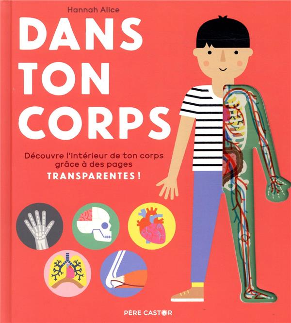 Dans ton corps. Découvre l'intérieur de ton corps grâce à des pages transparantes !