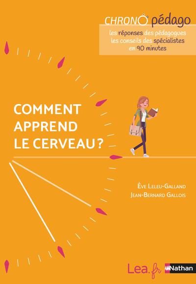 Comment apprend le cerveau ?