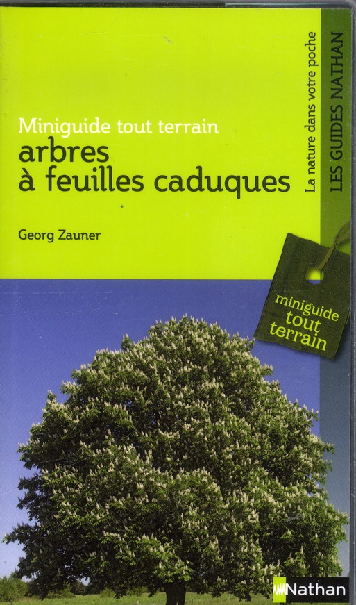 Arbres à feuilles caduques