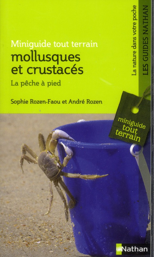 Mollusques et crustacés. La pêche à pied