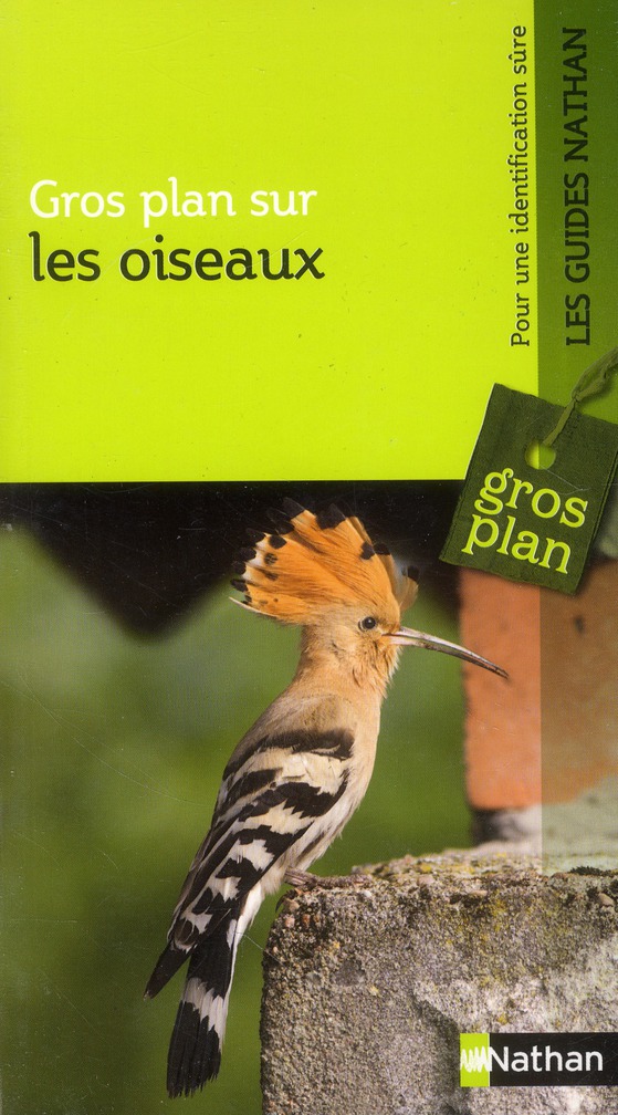 Les oiseaux