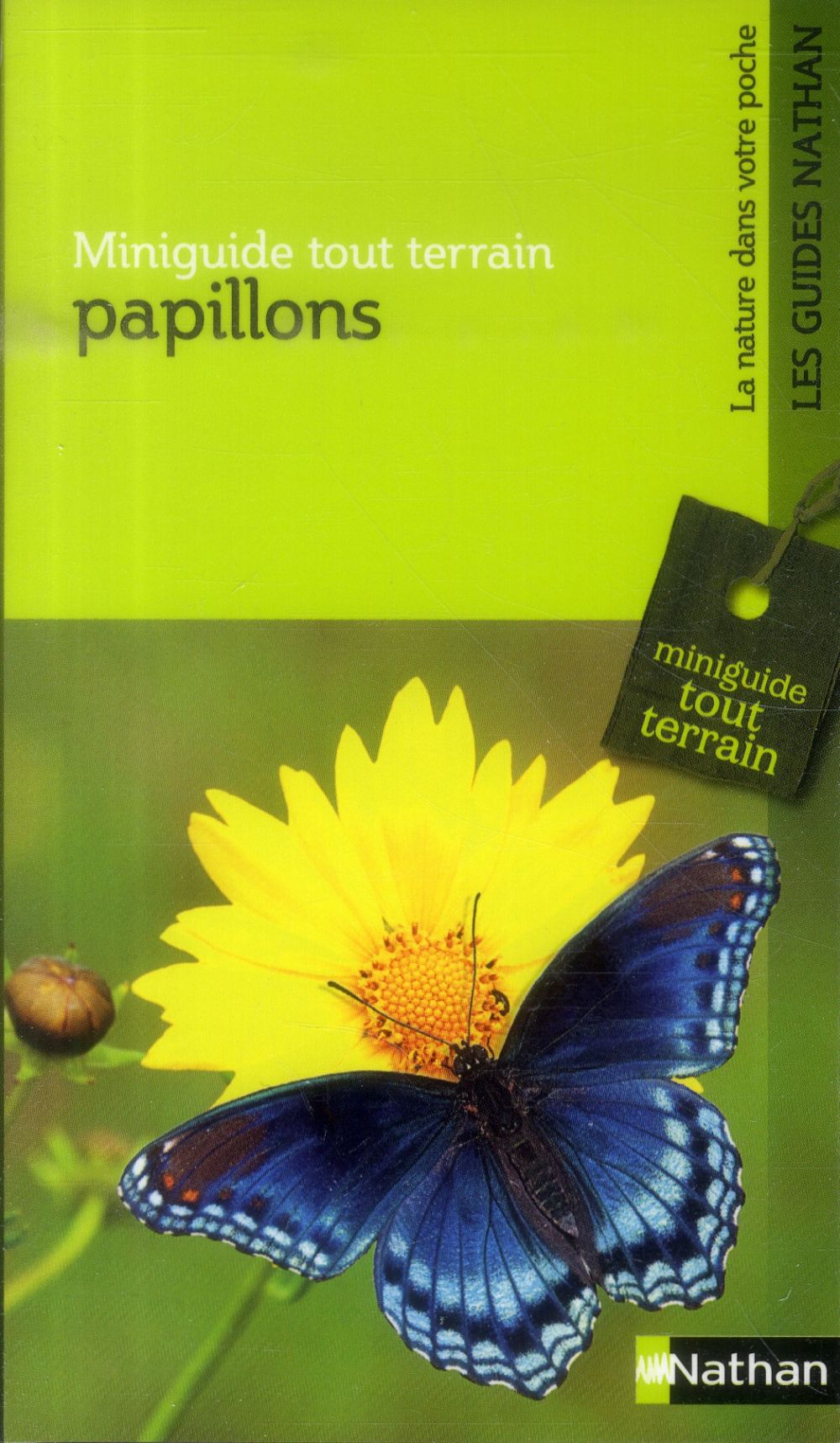 Papillons