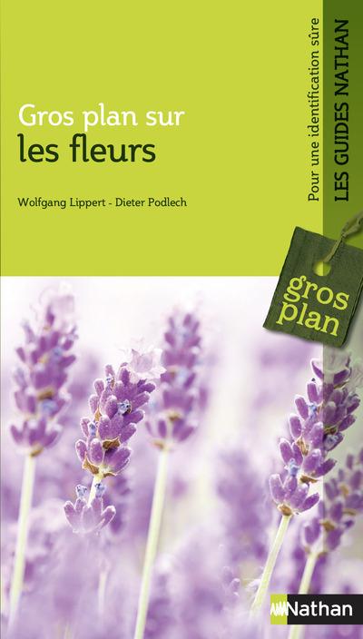 Gros plan sur les fleurs