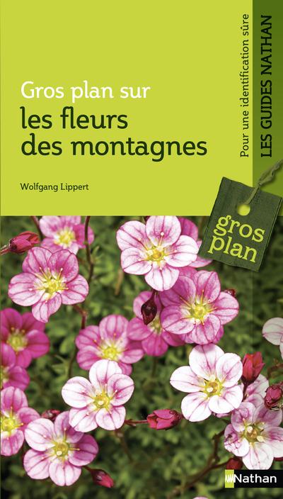 Gros plan sur les fleurs de montagne