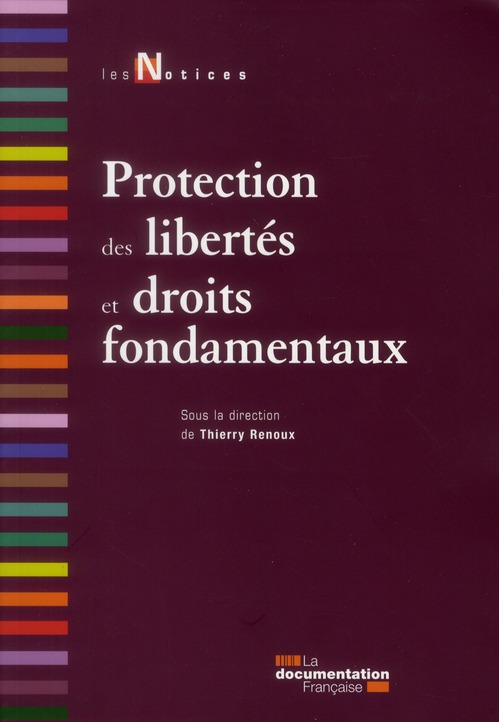 Protection des libertés et droits fondamentaux. 2e édition
