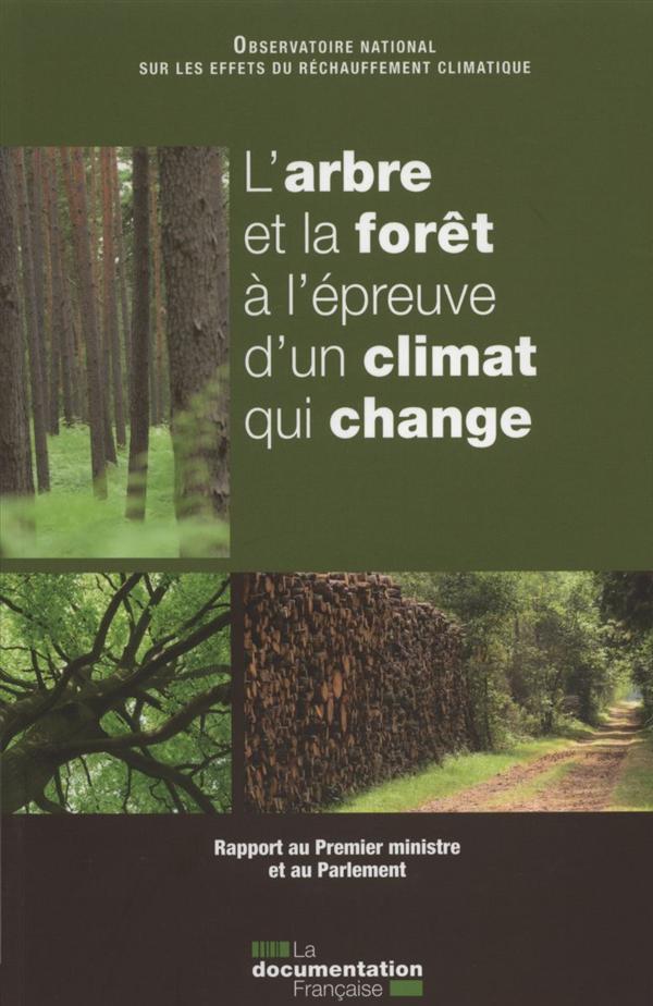L'arbre et la forêt à l'épreuve d'un climat qui change