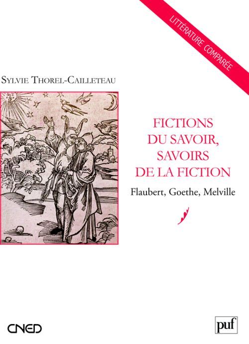 Fictions du savoir, savoirs de la fiction. Flaubert, Goethe, Melville