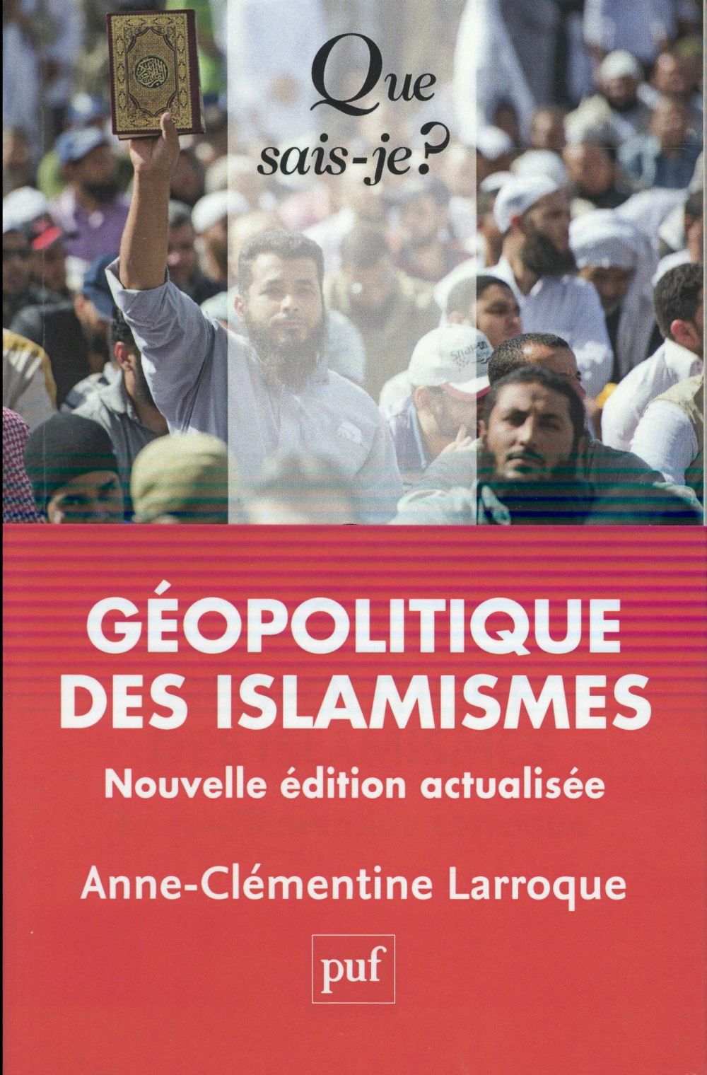 Géopolitique des islamismes. 2e édition