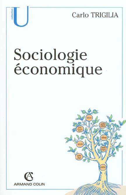 Sociologie économique. Etat, marché et société dans le capitalisme moderne